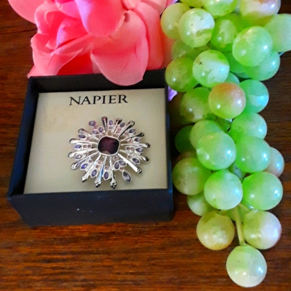 PRICE DROP TODAY NIBWT BEAUTIFUL NAPIER BROOCH